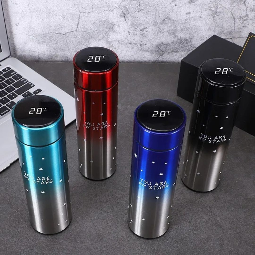 500ml Stainless Steel LED Temperature Bottle
