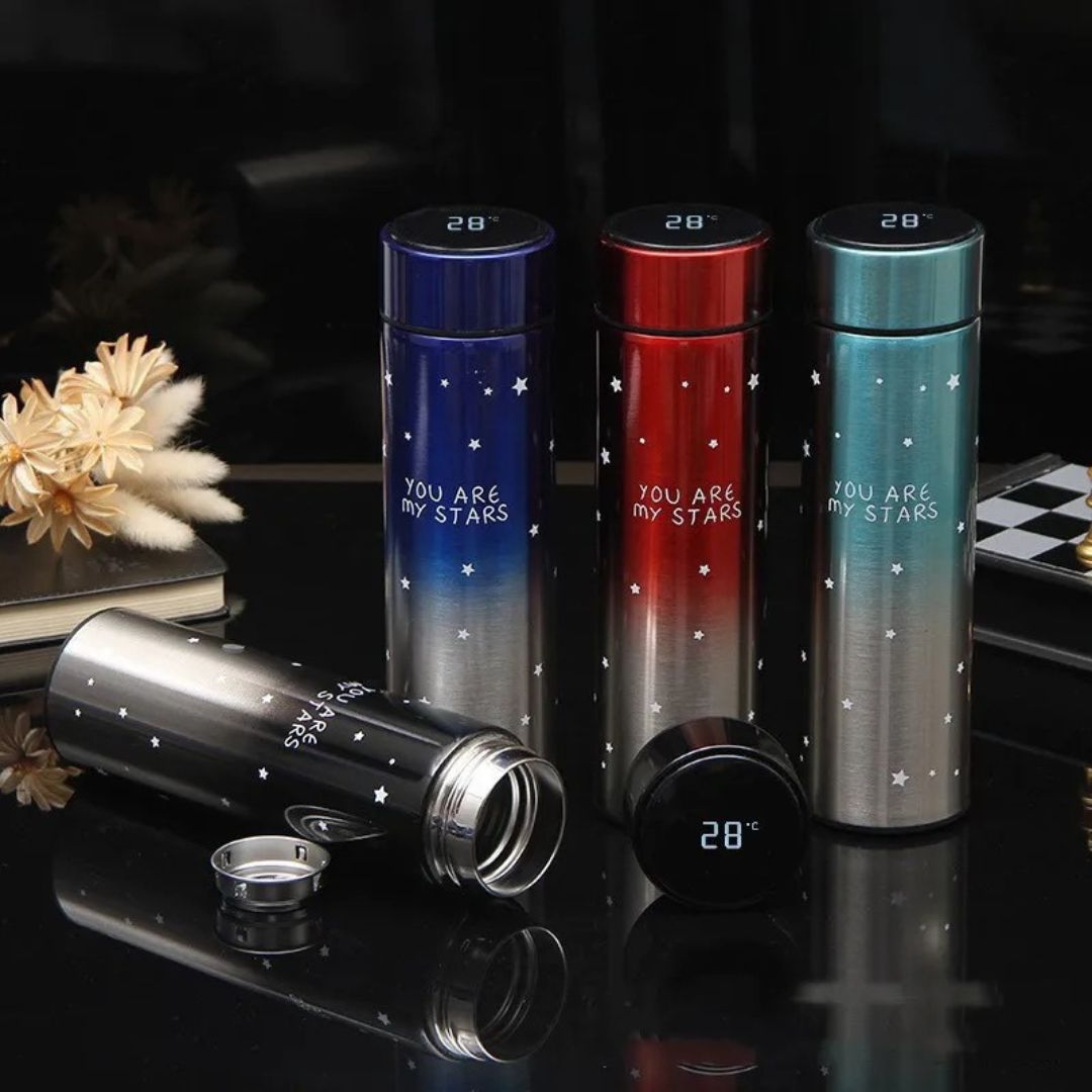 500ml Stainless Steel LED Temperature Bottle