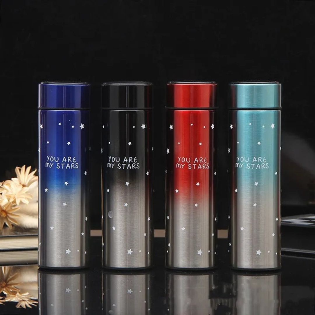 500ml Stainless Steel LED Temperature Bottle