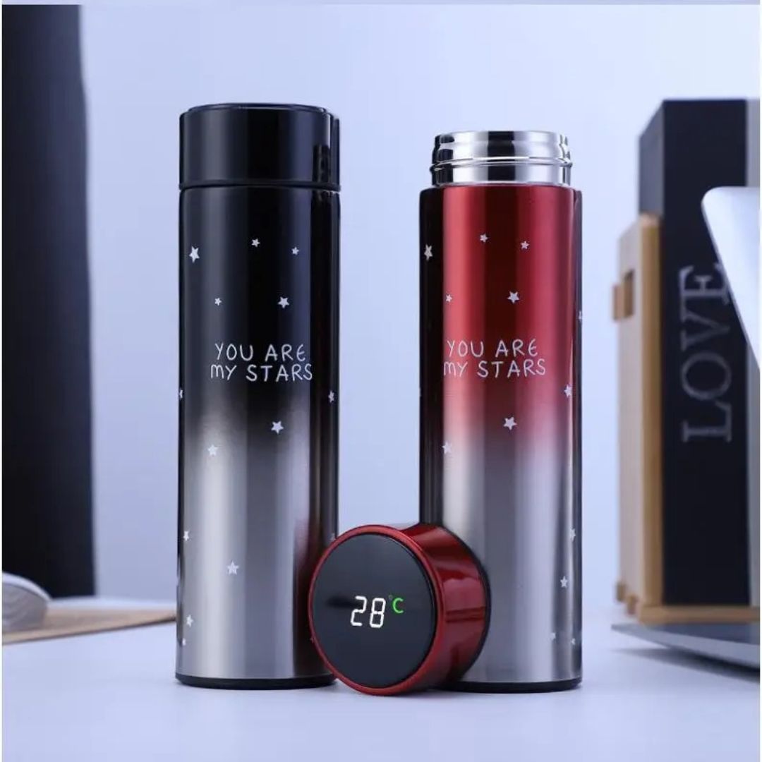 500ml Stainless Steel LED Temperature Bottle