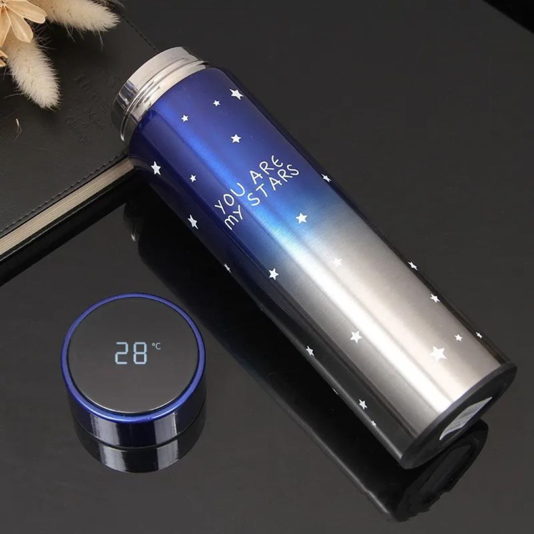 500ml Stainless Steel LED Temperature Bottle
