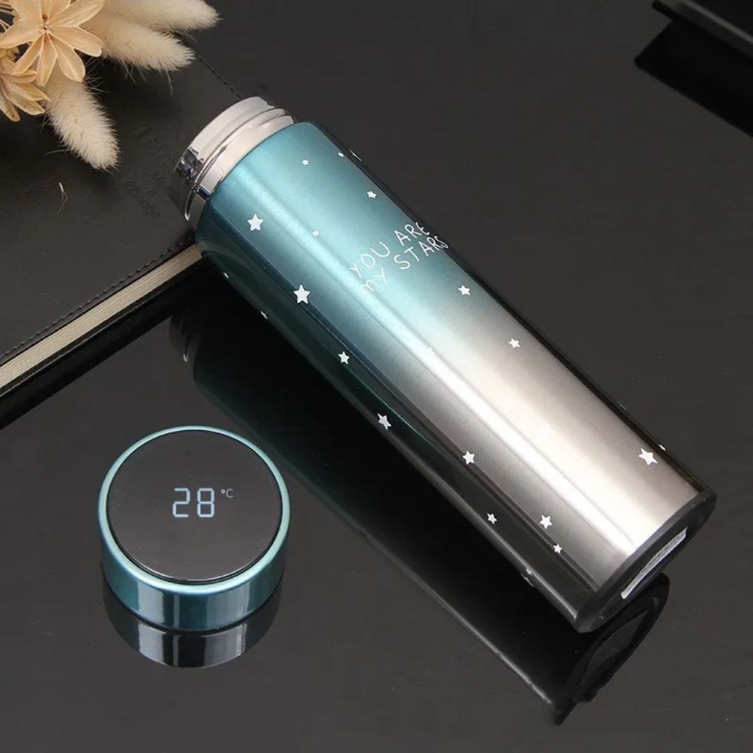 500ml Stainless Steel LED Temperature Bottle