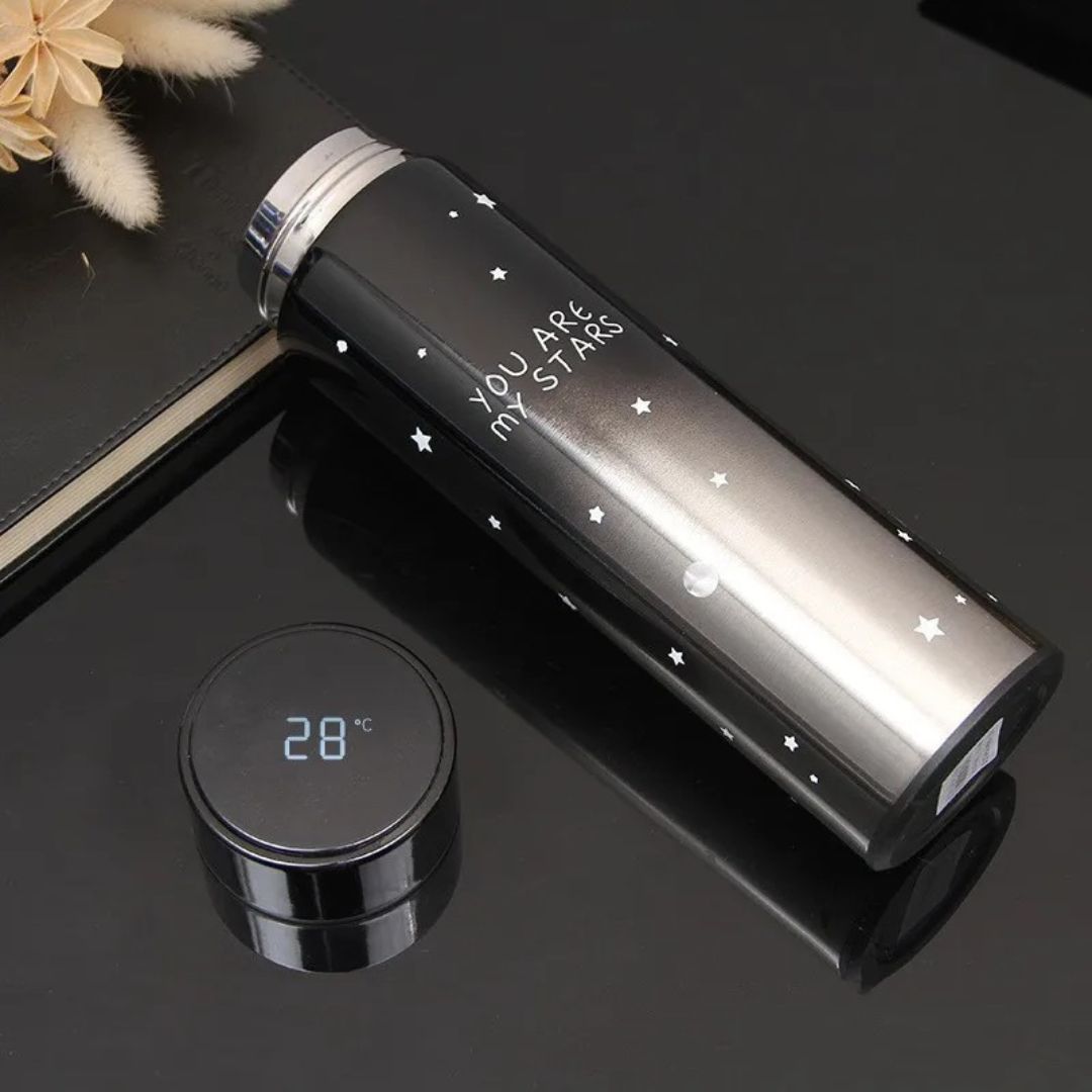 500ml Stainless Steel LED Temperature Bottle